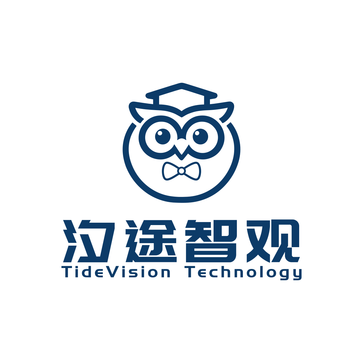 汐途智观 TideVision Technology